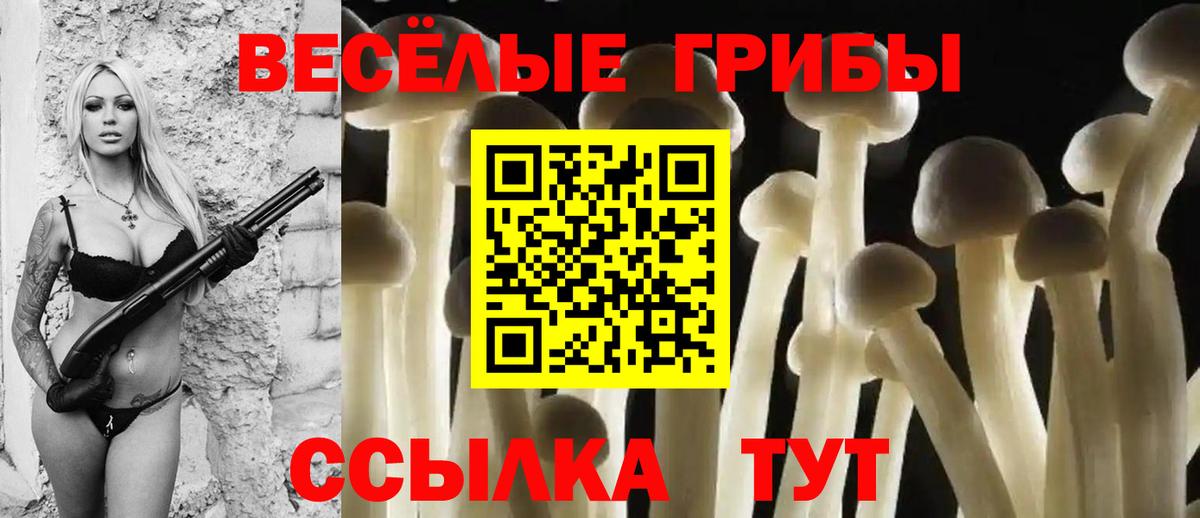 Галлюциногенные грибы Magic Shrooms  Вход с VPN  Тихвин 